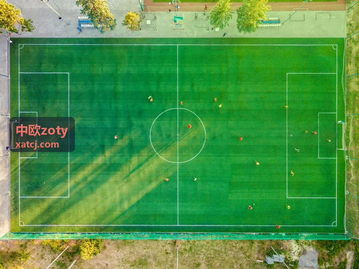 中欧zoty跨境电商包裹案例